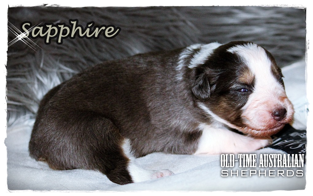 sapphire
