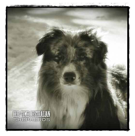 waylon6
